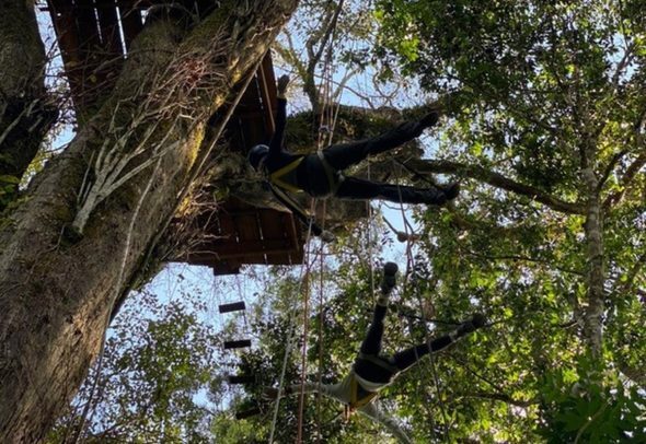 Día 4 - Cuerdas altas en la selva Matavén