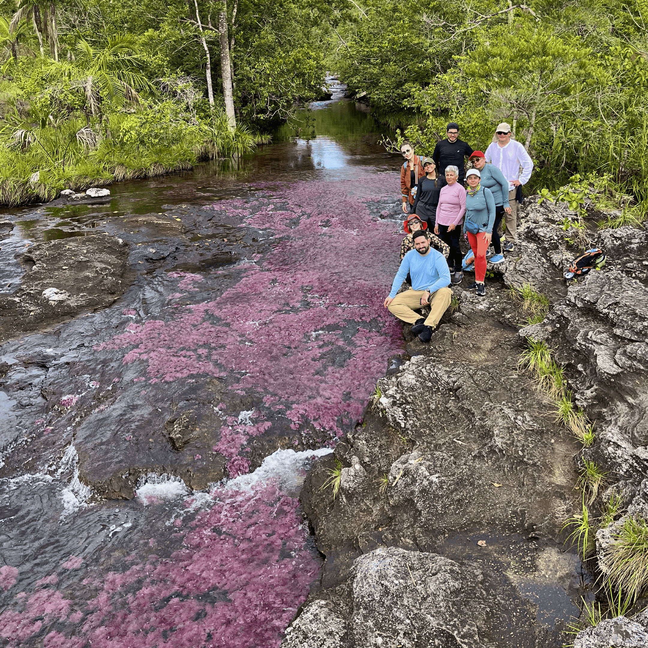Caño Cristales  grupo