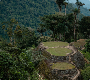 Ciudad Perdida