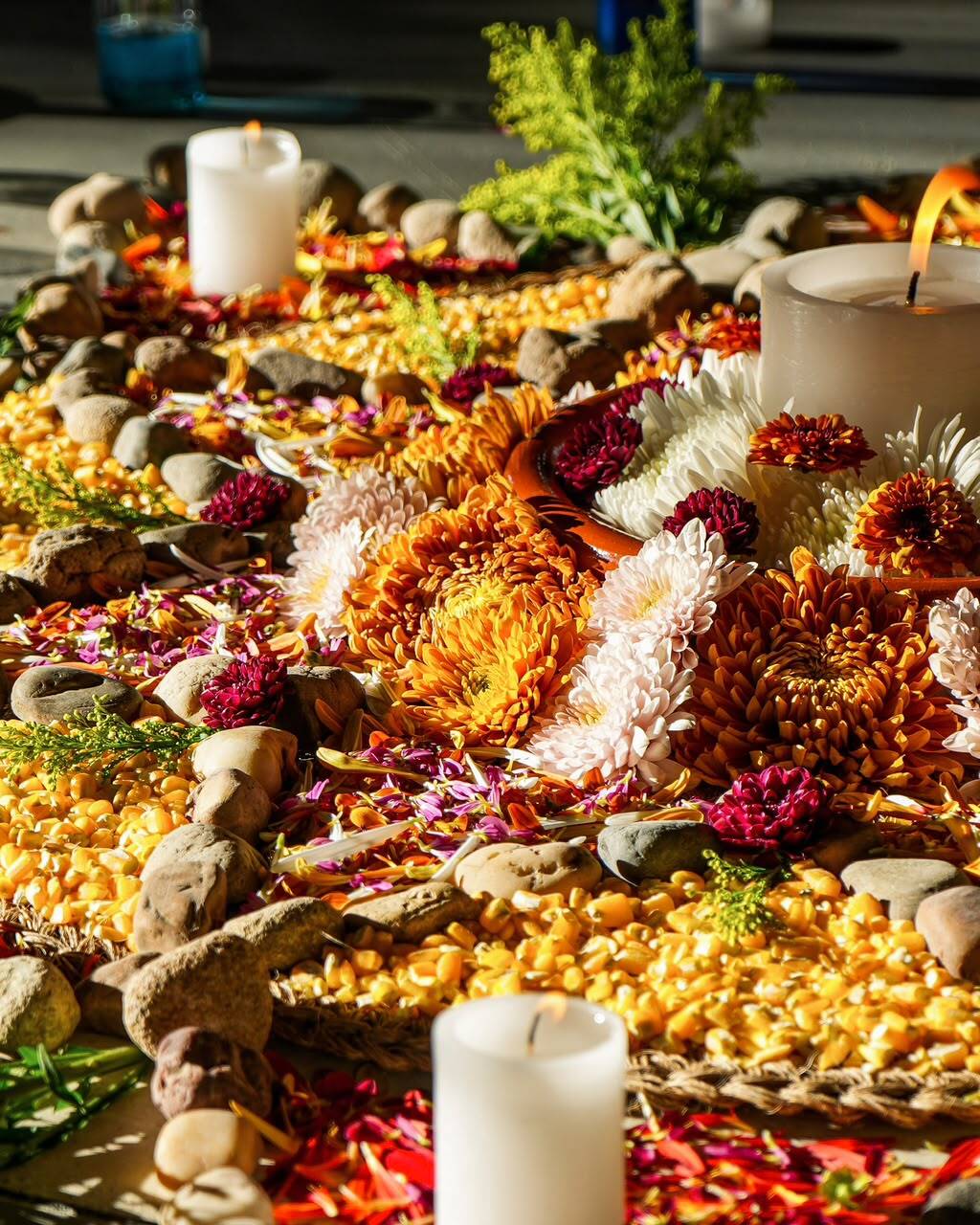 Wellness_MariCepeda_3