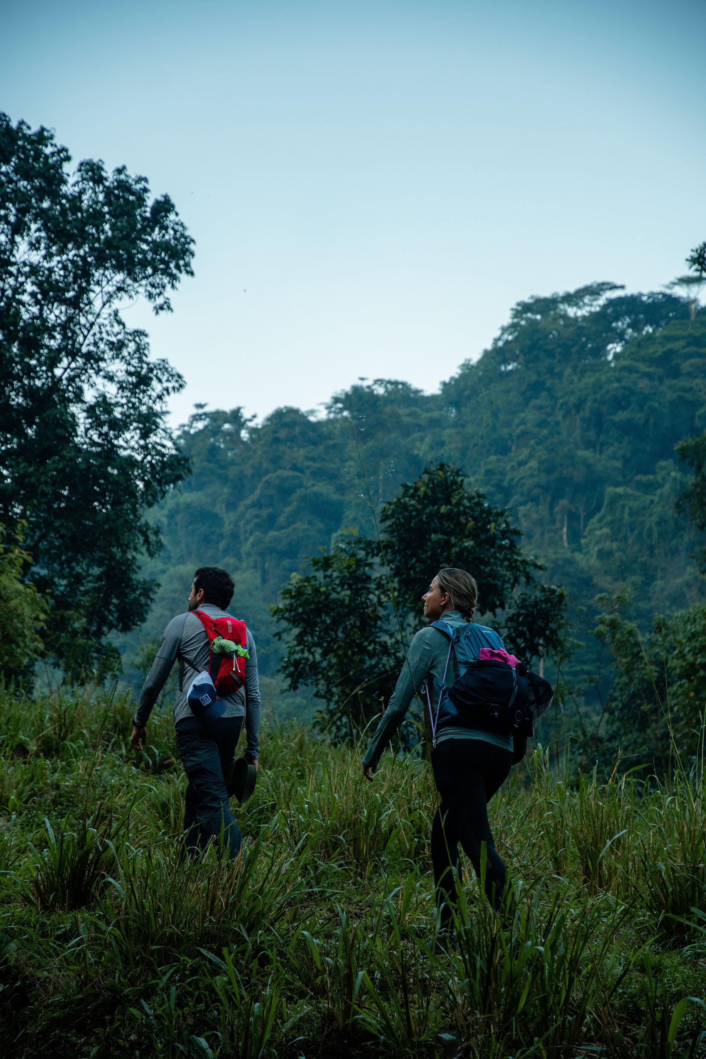 Día 2 - Caminata larga por la selva