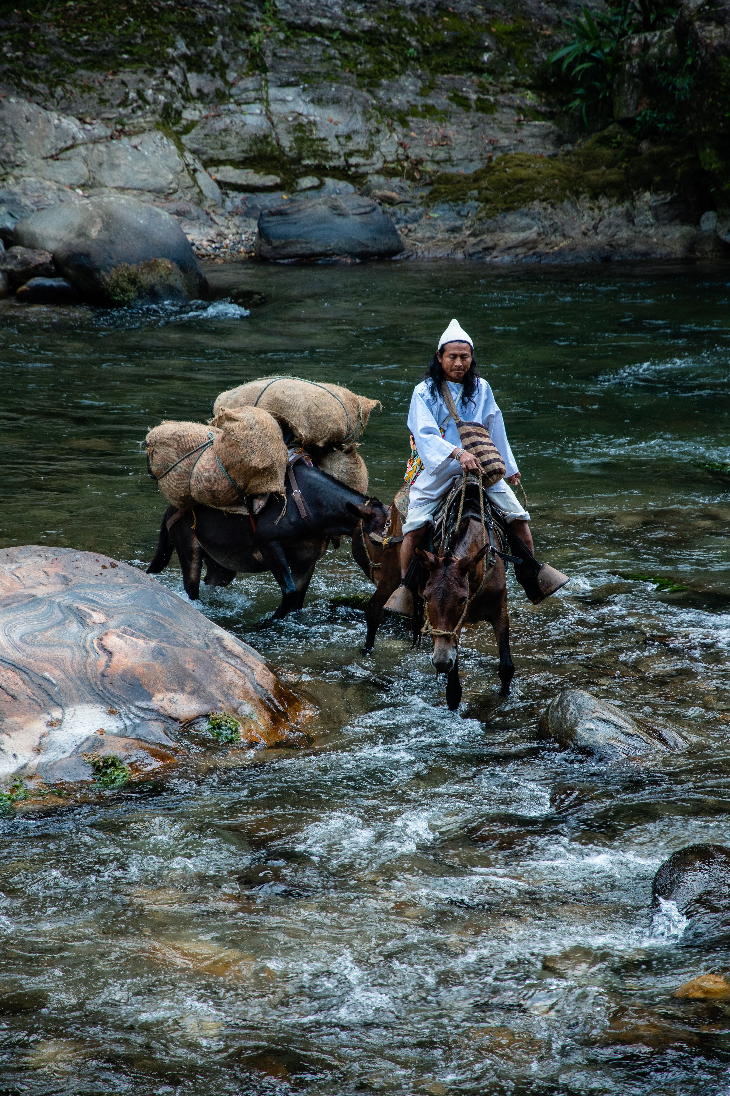 Día 4 - Cruce de río y regreso