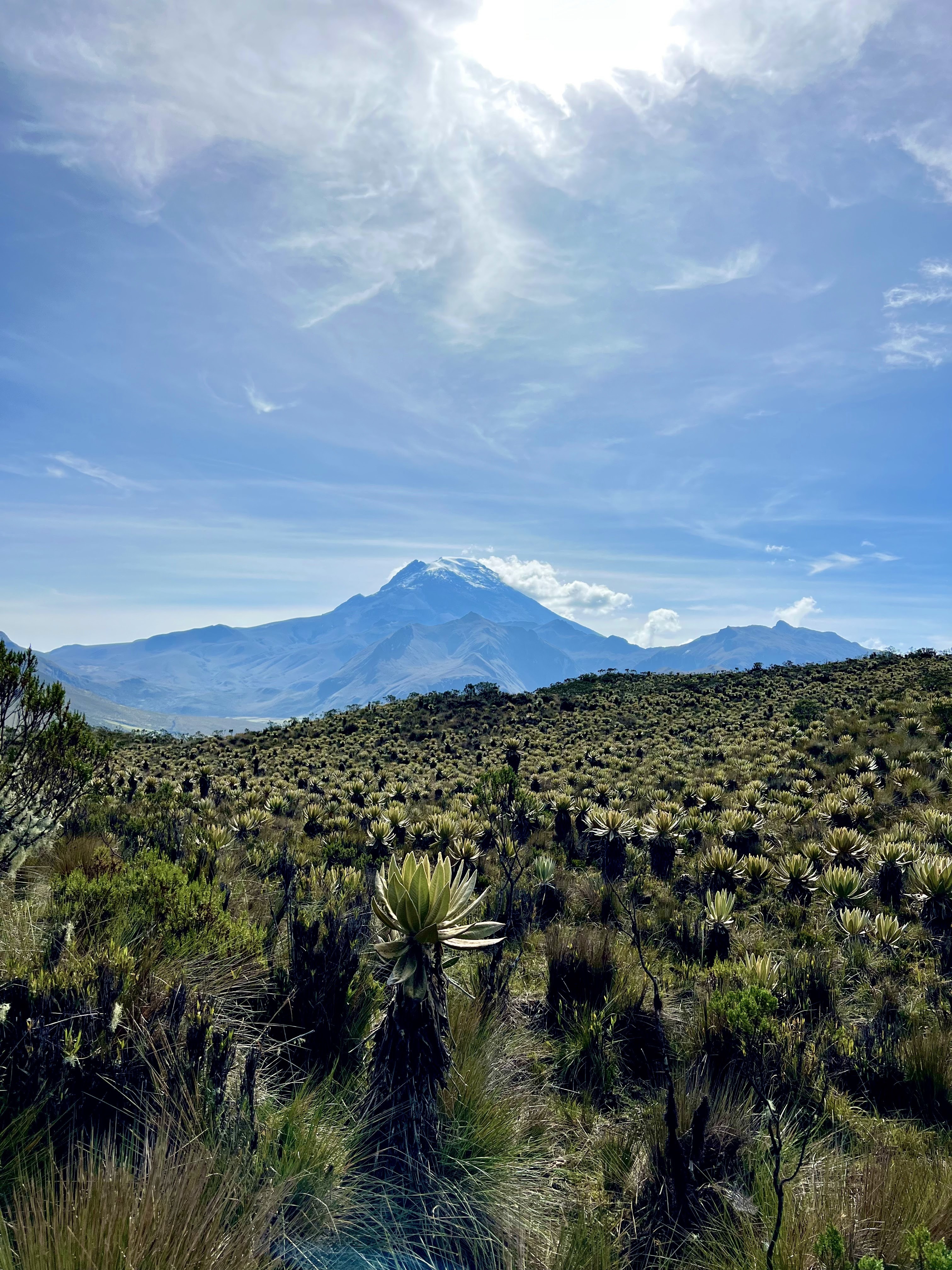 Tolima_Trekking_Aventura_1