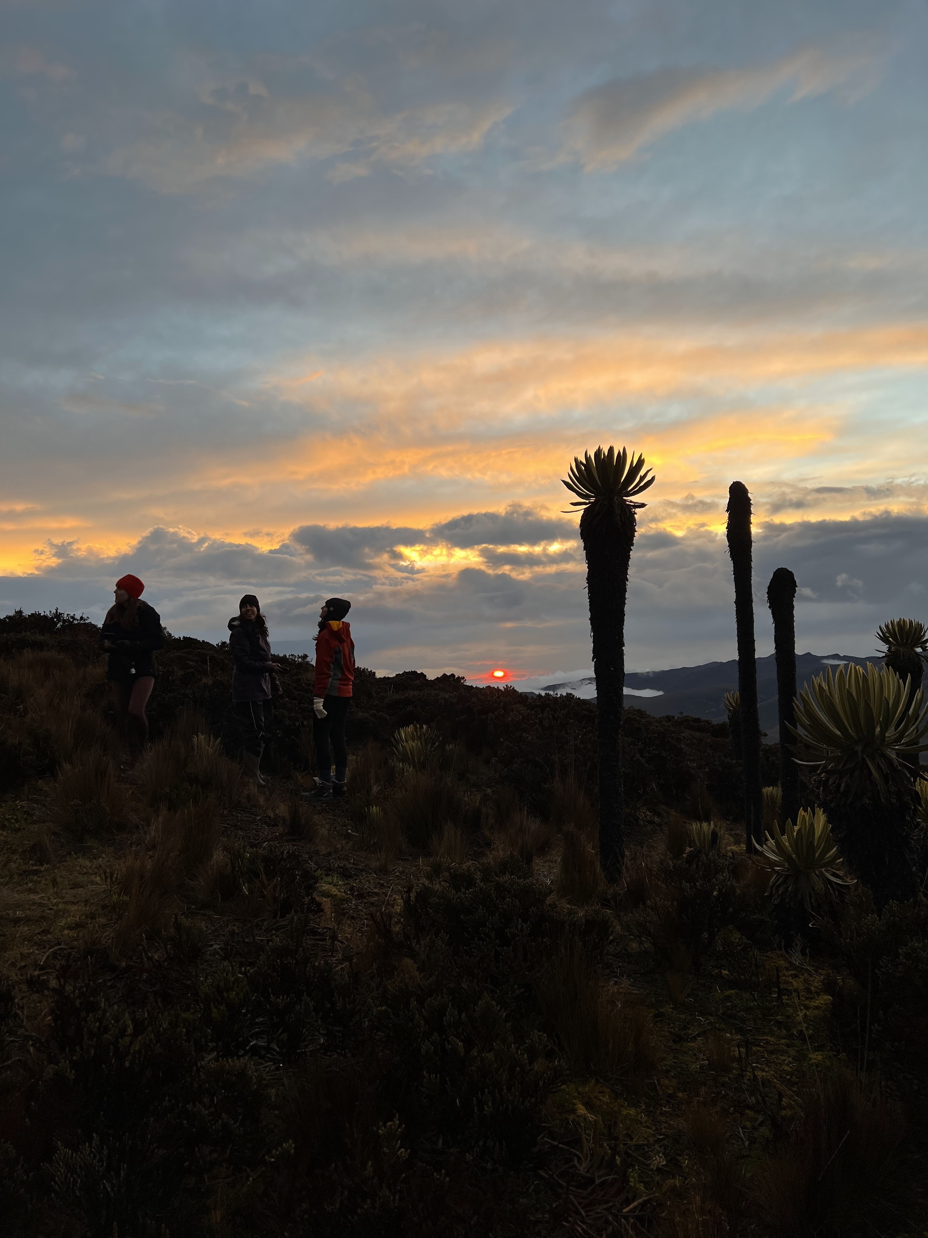 Tolima_Trekking_Aventura_5