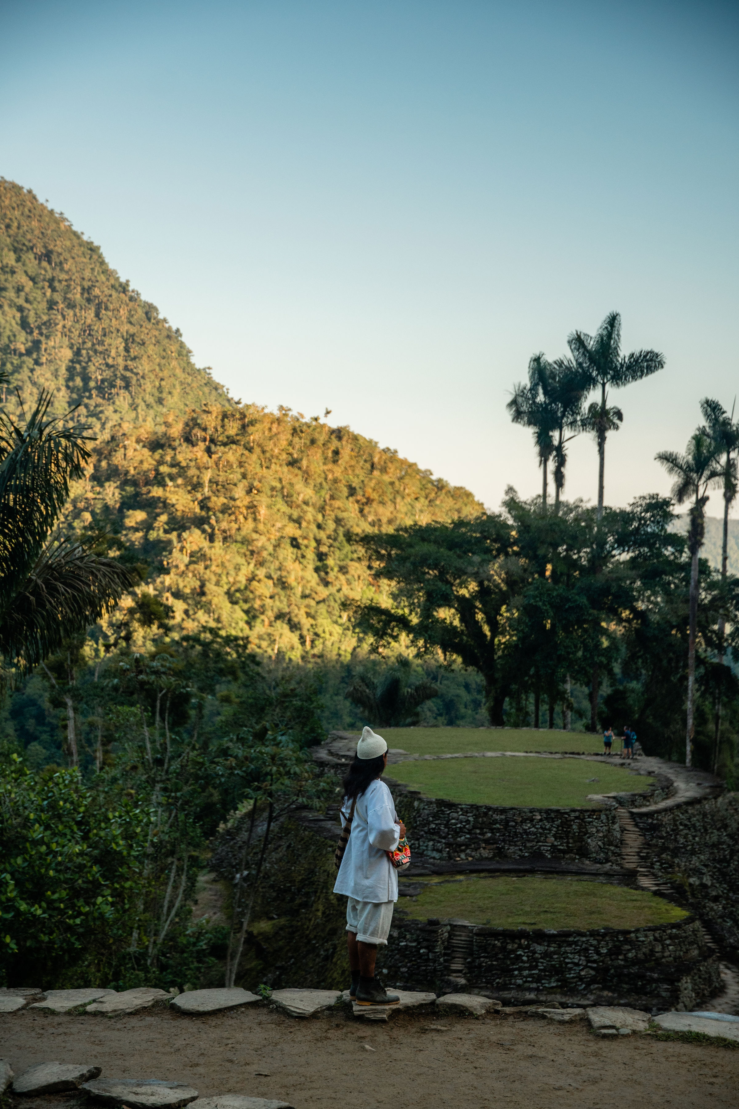 Paisaje Verde