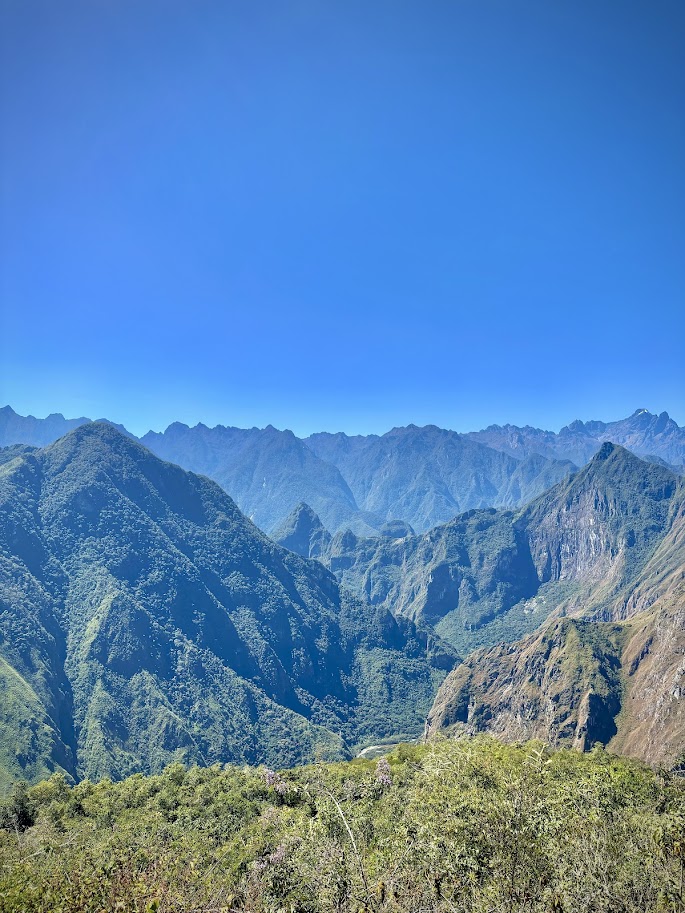 Salkantay_selva